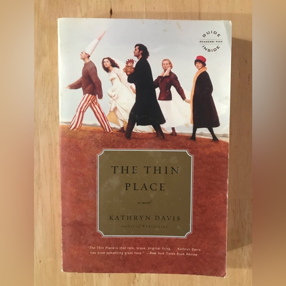 🖤5 for $20- The Thin Place by Kathryn Davis 2007 Paperback